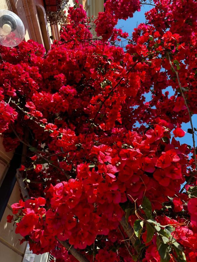 Mariviva Guest House Terracina Exterior photo